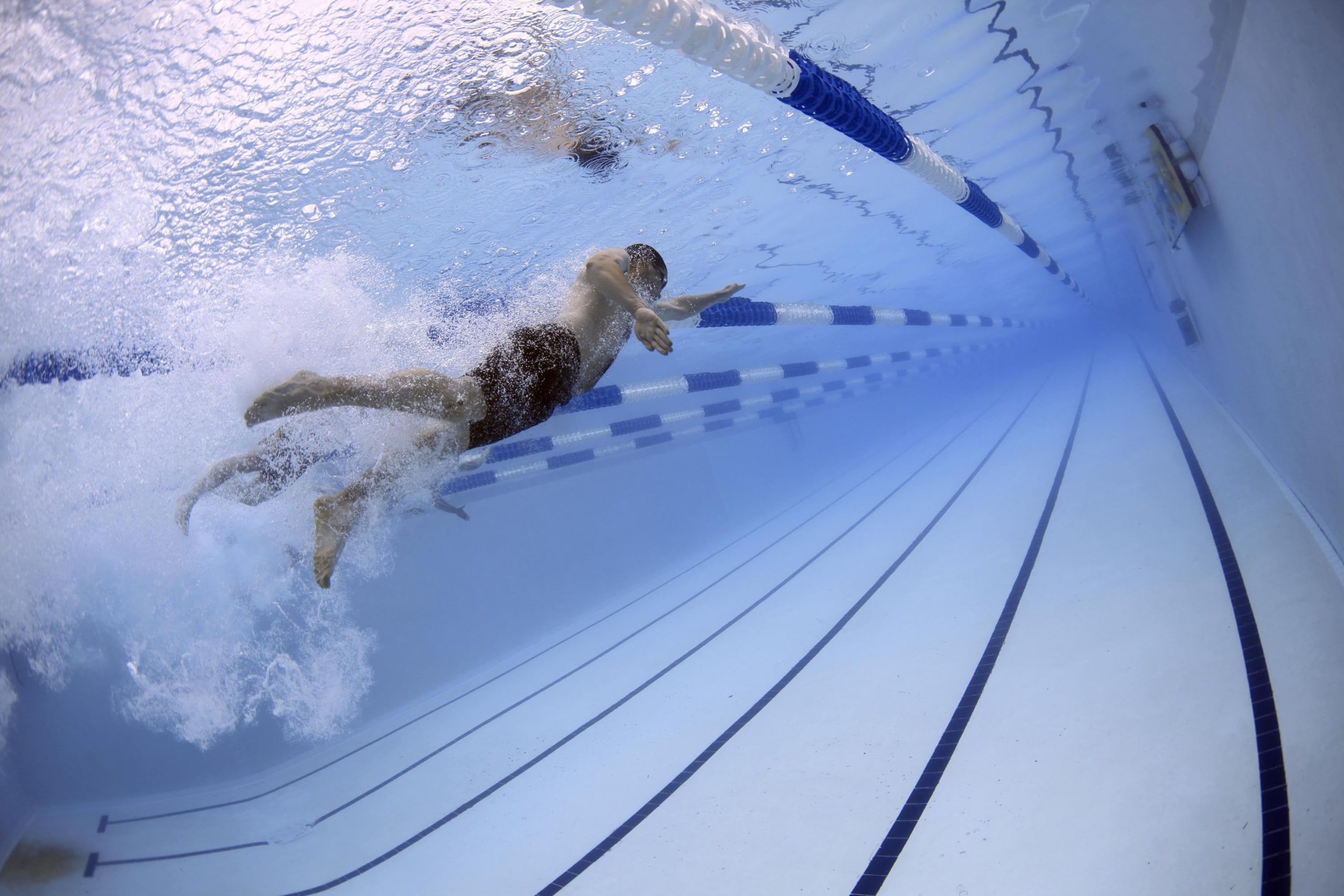 12019-swimmers-79592
