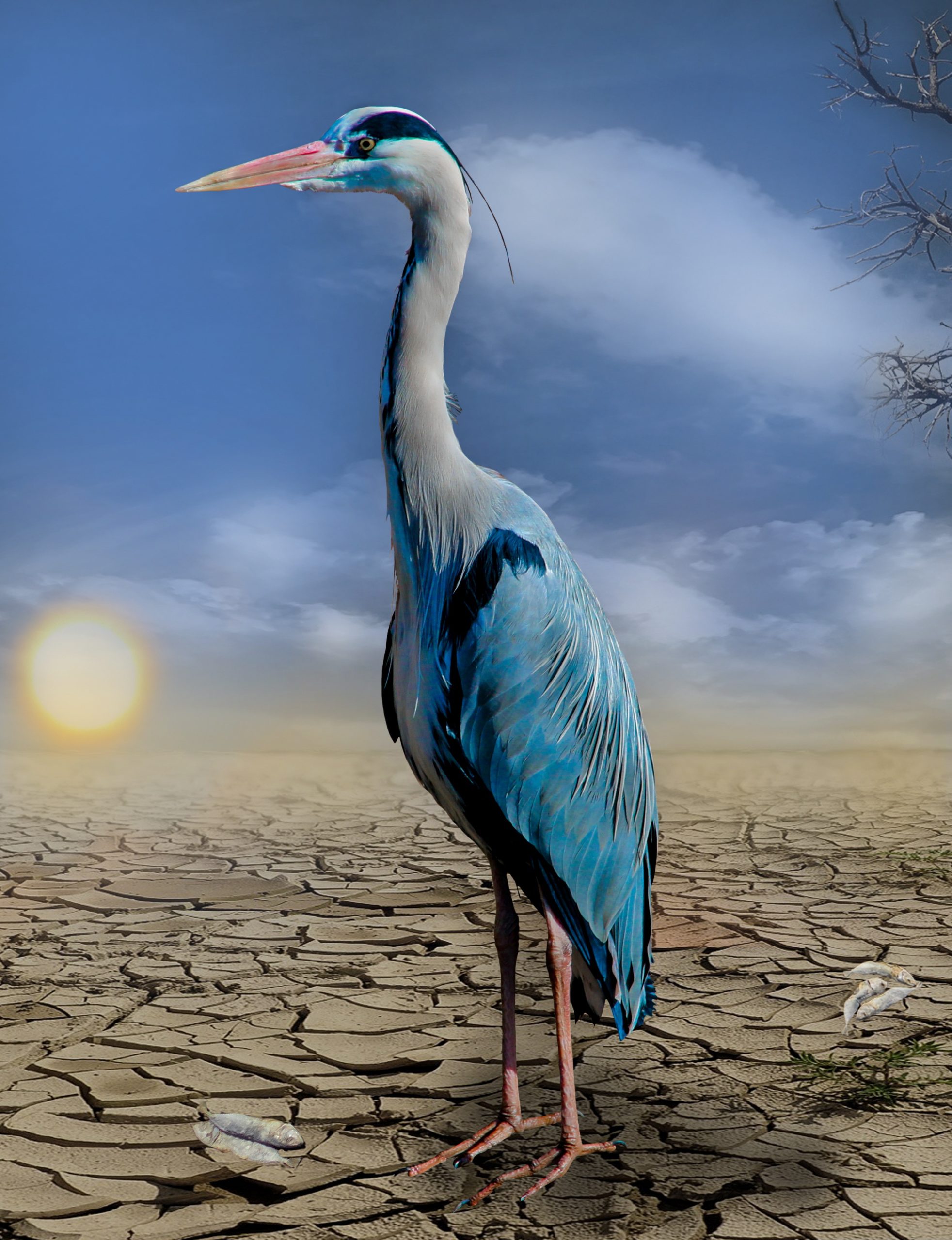 garten-gg-heron-684694